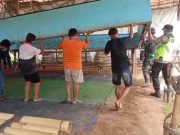 Polisi Bongkar Lokasi Sabung Ayam dan Judi di Ayah