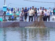 Presiden Panen Raya Udang Kualitas Ekspor di BUBK Petanahan