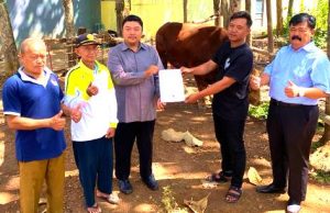 Sapi Kurban dari Presiden Prabowo untuk Ponpes Citra Husada