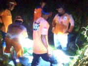 Sapi Kurban Beringas, Terperosok ke Parit Kakinya Patah