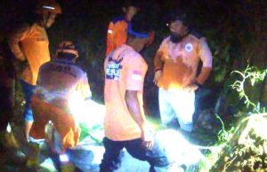 Sapi Kurban Beringas, Terperosok ke Parit Kakinya Patah