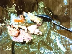 Garang Asem, Dapat untuk Menyembuhkan Sakit Cangkrangan ?