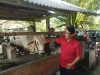 DPC PDIP Kebumen Bagikan 700 Paket Daging ke Warga