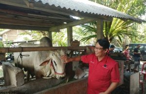 DPC PDIP Kebumen Bagikan 700 Paket Daging ke Warga