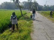 Sugiyem dengan Telaten Rawat Pohon TMMD untuk Masa Depan Desa