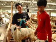 Jaga Kualitas Hewan Kurban, Dompet Dhuafa Jateng Lakukan Quality Control Jelang Iduladha