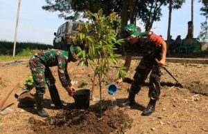 Dansatgas Tanam Durian di Lokasi Sumur Bor: Manfaat TMMD Terus Tumbuh