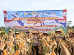 Dukung Program Ketahanan Pangan Nasional, Polres Purworejo Gelar Panen Raya Jagung Serentak Kuartal II Tahun 2026