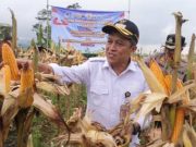 Pemkab Wonosobo Apresiasi Sinergi Polri dan Petani dalam Panen Raya Jagung Serentak