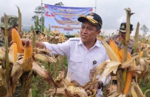 Pemkab Wonosobo Apresiasi Sinergi Polri dan Petani dalam Panen Raya Jagung Serentak