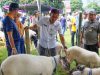 Upaya Pemprov Jateng Pastikan Kesehatan Hewan Kurban Iduladha 2026