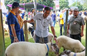 Upaya Pemprov Jateng Pastikan Kesehatan Hewan Kurban Iduladha 2026