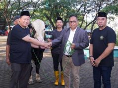 Semangat Berkurban Meningkat, Unissula Potong 33 Sapi dan 25 Kambing