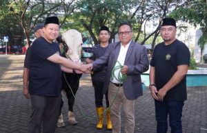 Semangat Berkurban Meningkat, Unissula Potong 33 Sapi dan 25 Kambing