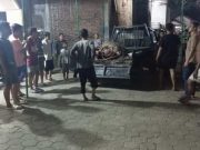 Kerbau Kurban Lepas di Kudus, Seruduk 2 Pemotor hingga Dilumpuhkan Polisi