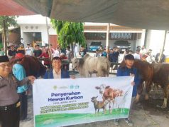USM Salurkan Daging Kurban 4 Sapi dan 17 Kambing Kepada Masyarakat