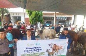 USM Salurkan Daging Kurban