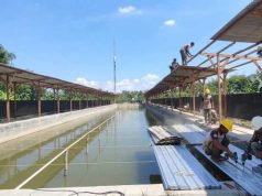 Raja Pikat Brati Siapkan Lomba Mancing Spektakuler Berhadiah Jutaan Rupiah, 200 Kg Tombro Siap Disebar