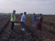 Petani 60 Tahun di Grobogan Meninggal Saat Gali Sumur di Sawah Miliknya, Ini Kata Polisi