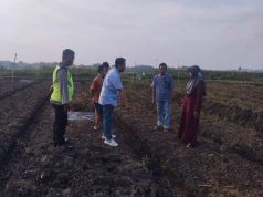 Petani 60 Tahun di Grobogan Meninggal Saat Gali Sumur di Sawah Miliknya, Ini Kata Polisi