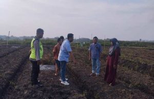 Petani 60 Tahun di Grobogan Meninggal Saat Gali Sumur di Sawah Miliknya, Ini Kata Polisi