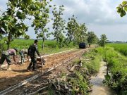 Satgas TMMD Kebut Pengecoran Jalan di Desa Puro