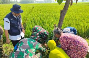 TMMD Kodim 0725/Sragen Tanam 500 Pohon Buah untuk Masa Depan Desa
