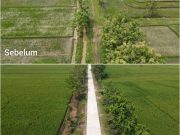 Petani Desa Puro Tersenyum, Jalan Sawah 1,1 Kilometer Berubah Mulus Berkat TMMD