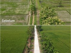 Petani Desa Puro Tersenyum, Jalan Sawah 1,1 Kilometer Berubah Mulus Berkat TMMD