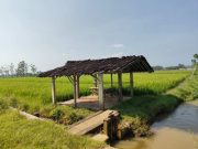 Jalan Cor TMMD Peluang Rezeki Baru, Warno Siap Bangun Warung di Pinggir Sawah