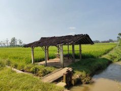 Jalan Cor TMMD Peluang Rezeki Baru, Warno Siap Bangun Warung di Pinggir Sawah