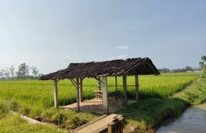 Jalan Cor TMMD Peluang Rezeki Baru, Warno Siap Bangun Warung di Pinggir Sawah