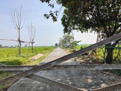 Warga Desa Puro Harus Bersabar Menikmati Jalan Mulus TMMD, Masih Proses Pengeringan