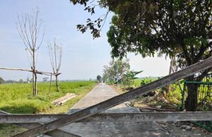 Warga Desa Puro Harus Bersabar Menikmati Jalan Mulus TMMD, Masih Proses Pengeringan