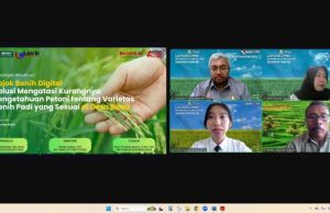 Inovasi ASN Muda Pertanian 2026, Dari Data Kesuburan Tanah hingga Database Sawah Online