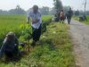 Satgas TMMD Hijaukan Sidikan, 500 Pohon Ditanam Dukung Program Penghijauan