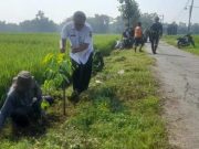 Satgas TMMD Hijaukan Sidikan, 500 Pohon Ditanam Dukung Program Penghijauan