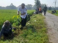 Satgas TMMD Hijaukan Sidikan, 500 Pohon Ditanam Dukung Program Penghijauan