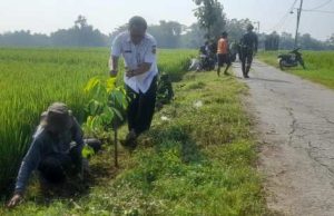 Satgas TMMD Hijaukan Sidikan, 500 Pohon Ditanam Dukung Program Penghijauan