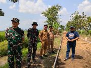 Danramil Karangmalang Dampingi Dinas PMD Sragen Tinjau Progres Pembangunan TMMD