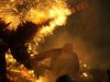 Bara Penjaga Tradisi, Perang Obor Tegalsambi Membara Lagi