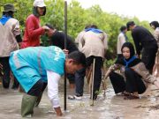 Perkuat Benteng Alami, PLN UIK Tanjung Jati B Tanam 5.400 Bibit Mangrove di Pesisir Mororejo, Jepara