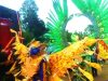 Dimeriahkan Batik Carnival dengan Busana Negeri Dongeng