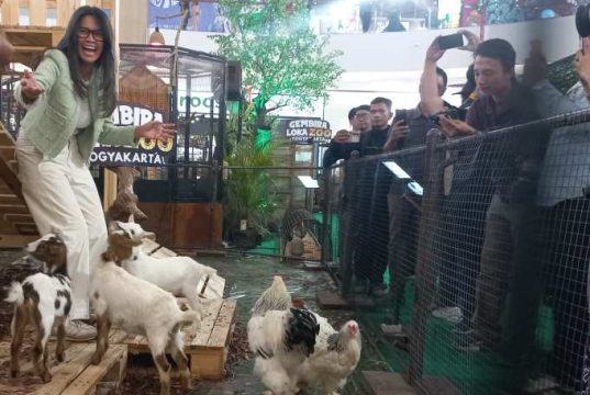 Nonton Kebun Binatang Mini di The Park Mall Semarang, jadi Sarana Edukasi dan Konservasi