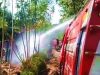 Kandang Ternak Sapi dan Kambing Ludes Terbakar