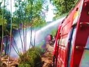 Kandang Ternak Sapi dan Kambing Ludes Terbakar