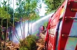 Kandang Ternak Sapi dan Kambing Ludes Terbakar