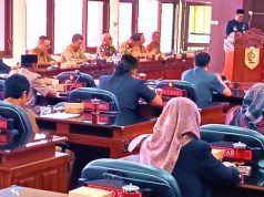 Pendapatan Transfer dari Pemerintah Pusat Tak Terserap Maksimal
