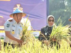 Wabup Dorong Warga Binaan Rutan Kelas IIB Blora Kembangkan Padi Organik