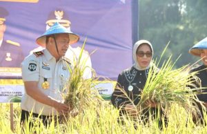 Wabup Dorong Warga Binaan Rutan Kelas IIB Blora Kembangkan Padi Organik